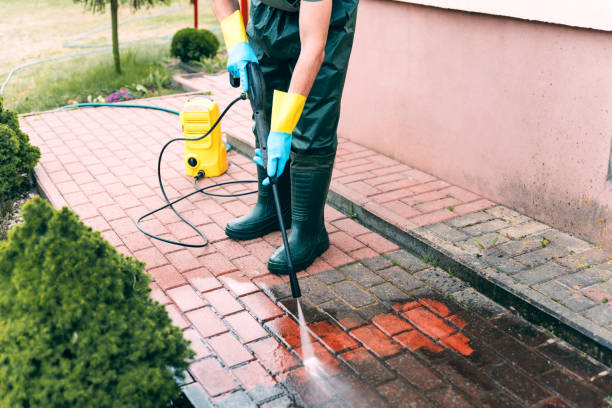 Best Vinyl Siding Pressure Washing in Oceana, WV